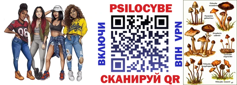 где продают наркотики  Комсомольск  mega как зайти  Псилоцибиновые грибы Cubensis 